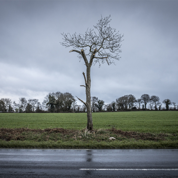 Nationale 164 - Avant la nuit de l'asphalte